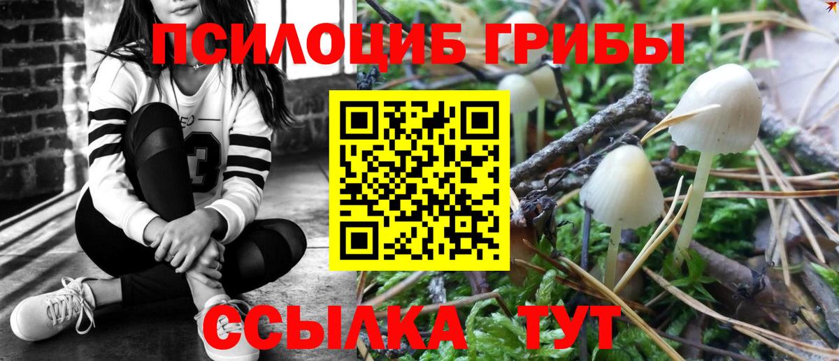 где купить наркоту  Галлюциногенные грибы Psilocybine cubensis  Вход с VPN  Красный Сулин 